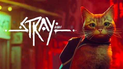 Stray | PC Mac Steam Game | Fanatical
