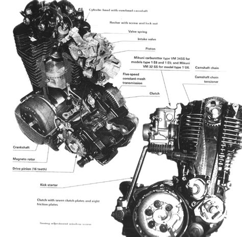 Stammbaum Xt