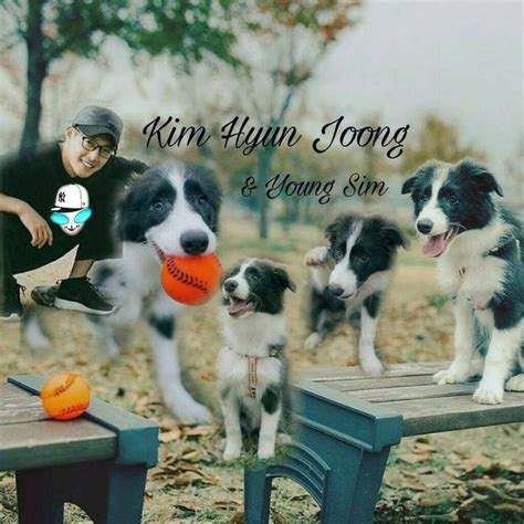 Pin by Charlotte Schott on khj | Animals, Dogs, Fan art