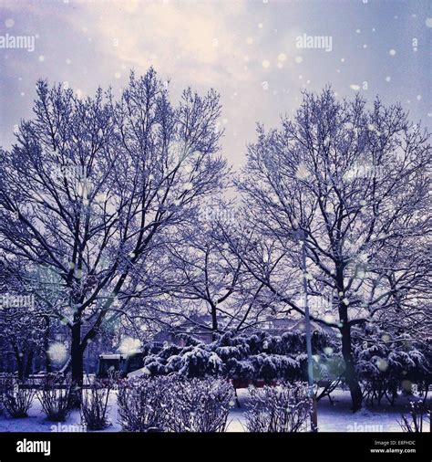 Czech Republic, Prague, Park in winter Stock Photo - Alamy