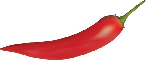 Red Hot Chili Pepper Royalty Free Vector Image