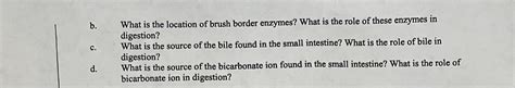 Solved b. What is the location of brush border enzymes? What | Chegg.com