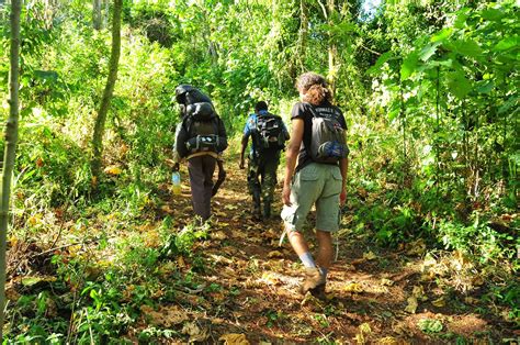 A Guide To Visiting Mount Elgon National Park Travel Dudes