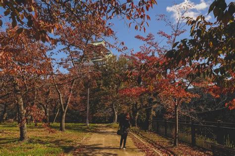 Premium Photo Early Autumn In Osaka Castle