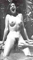 Thesandfly Retro Public Thrillseekers Zb Porn