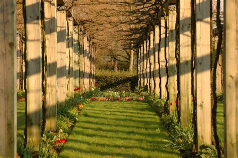 Фотография интерьера с эффектом перспективы - COLLECTION-DESIGN.RU