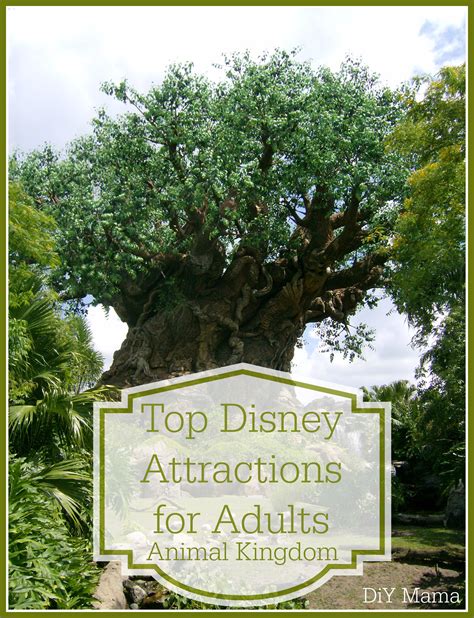 best attractions in animal kingdom