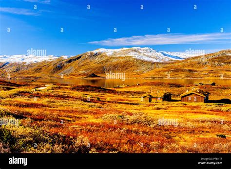 Norwegische farben Fotos und Bildmaterial in hoher Auflösung Alamy