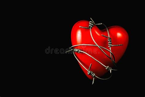 Heart In Barbed Wire On Black Stock Image Image Of Background Bdsm