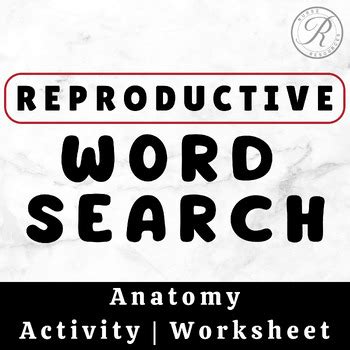 Reproductive System Word Search Activity Human Body Systems Worksheet