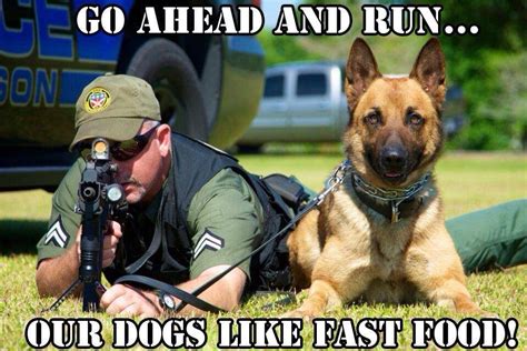 Pin By Harry Cuellar On K9 Funny Dog Memes Working Dogs Military