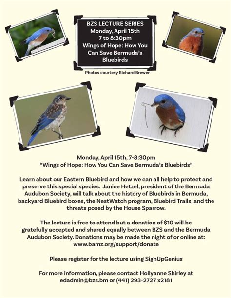 How To Help Save Bermudas Bluebirds Lecture By Janice Hetzel At