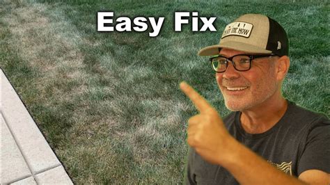 How To Fix Dry Brown Spots In Your Lawn Youtube