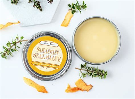 Solomon S Seal Salve Natural Herbal Apothecary Cream Etsy Australia