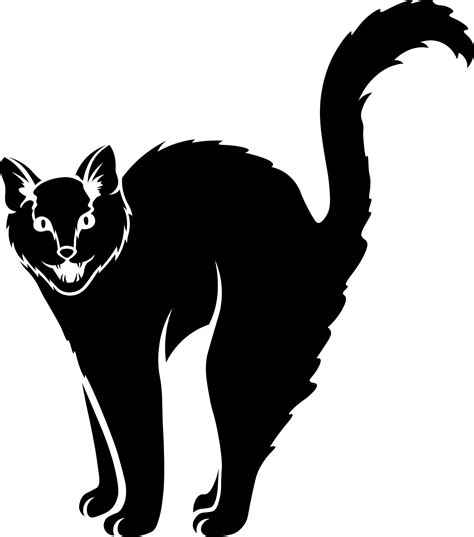 Journey Of Gey Cat Large Scary Eyes 7
