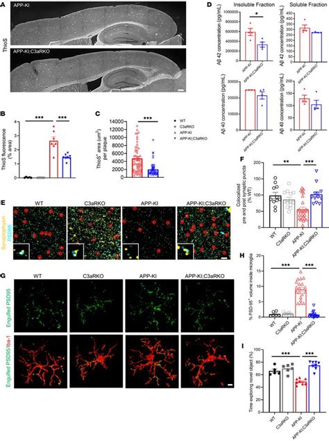 JCI Complement C3aR depletion reverses HIF 1αinduced metabolic