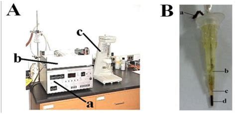 A Apparatus For Voltammetric Measurement A Stripping Voltammeter