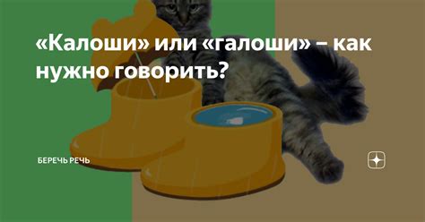 «Калоши» или «галоши» – как нужно говорить? | Беречь речь | Дзен