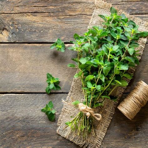 Oregano Or Marjoram Leaves Isolated On White Background Premium Ai