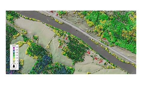 Visualizing Forest And Vegetation From Lidar Data Gim International