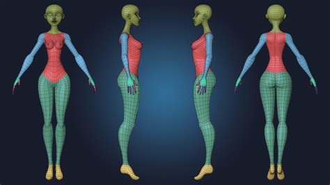 Stylized Female Basemesh Plus Anatomy Blockout Free D Model Cgtrader