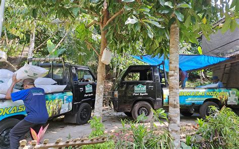 Petani Cengkeh Di Buleleng Mulai Sedia Pupuk Organik Bokashi Kotaku