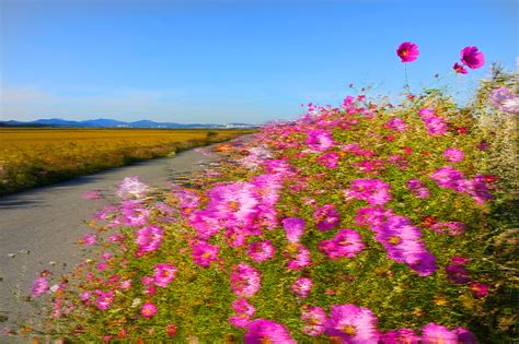 가을바람