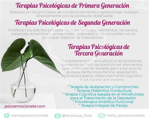 Terapias de Tercera Generación Psicoemociónate