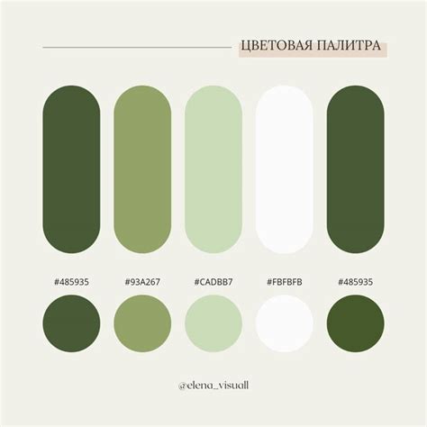Цветовая палитра | Цветовая палитра, Зеленая палитра, Палитра
