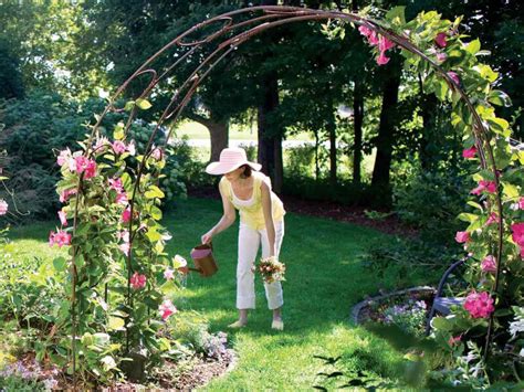 6 Gorgeous Garden Arches and What to Plant on Them - homeyou