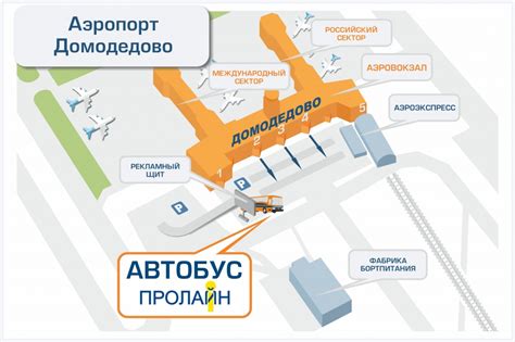 Трансфер в аэропорт Домодедово | Пролайн