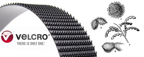 History Of Velcro Companies Our Timeline Of Innovation, 48% OFF