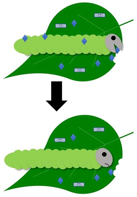 How Do They Work Bioinsecticide Edition Biocontrol Bytes