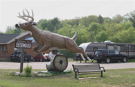 The leaping deer of Deerwood | Minnesota Prairie Roots