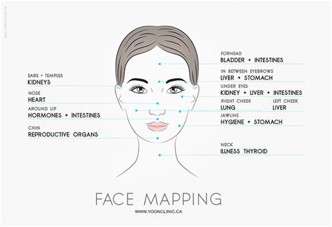 Traditional Chinese Medicine Diagnosis "FACE MAPPING"