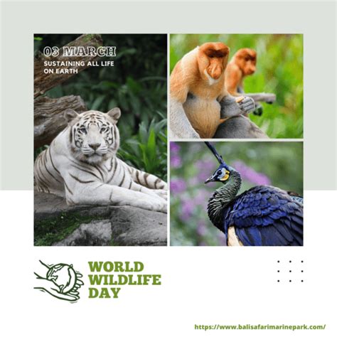 Lets Celebrate World Wildlife Day 2023 With Taman Safari Bali