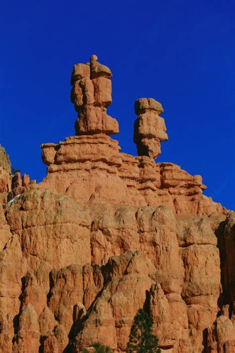 Faces In Sandstone Stock Photo Image Of Cliff Sandstone 11682612