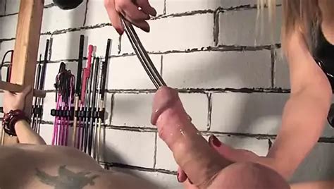 Jane Hayes 2023 Free Porn Star Videos XHamster