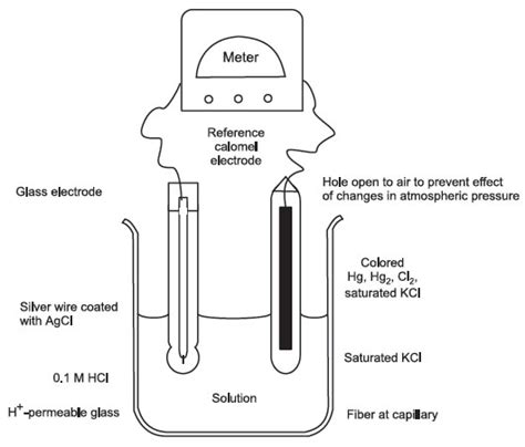 Draw And Label A Schematic Diagram Of Ph Meter - Circuit Diagram