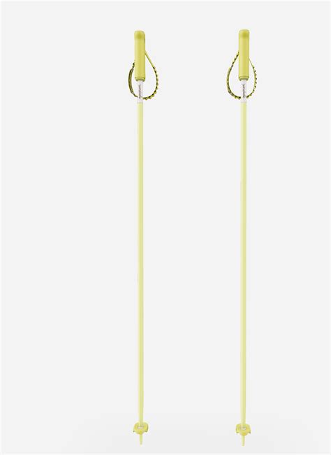 YARDSALE Magnetic Ski Poles – Bluebird