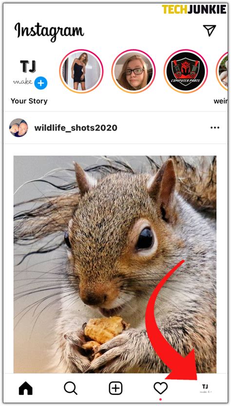 how to find bio on instagram