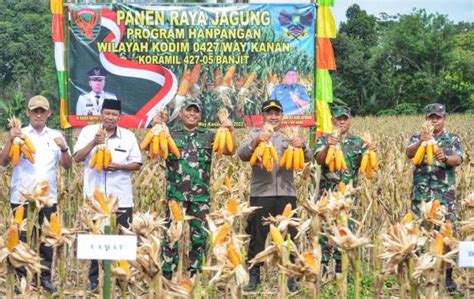 Jaga Stabilitas Ketahanan Dan Keamanan Pangan Dandim Way Kanan Panen