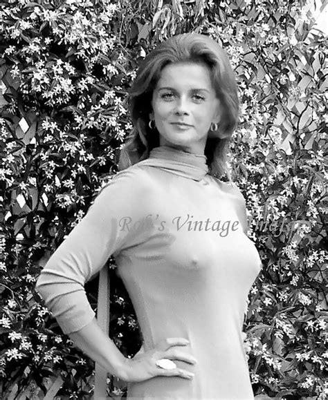 Bullet Bra Mama Photo 3 Retro 1960 S Class Ann Margret In Garden 8 X 10 Ebay