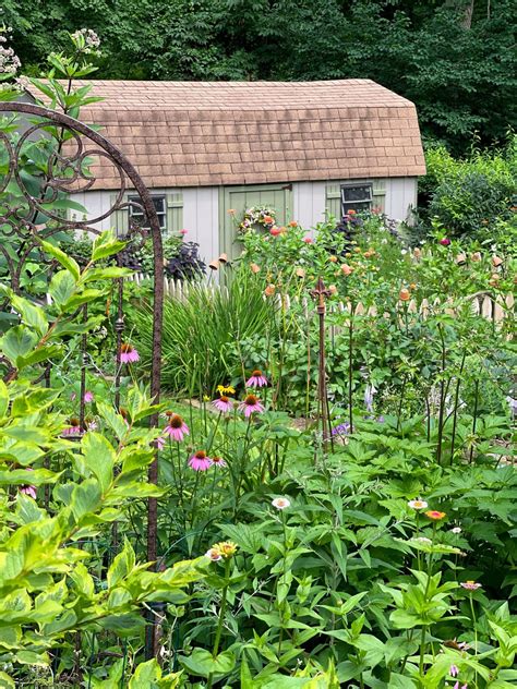 How to Plant a Mosquito Repellent Garden - Stacy Ling
