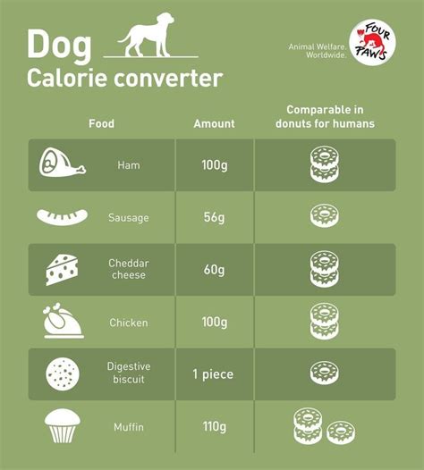 Countermeasures To Pet Obesity Animal Charity Animal Welfare