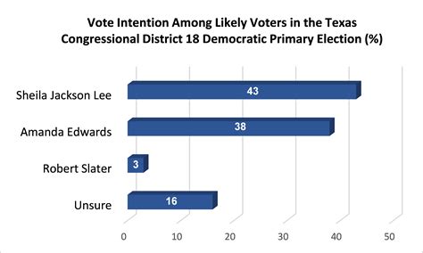 Democratic Primary 2024 Texas Meris Steffie