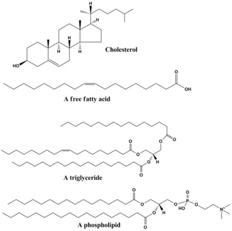 Hydrophilic Examples