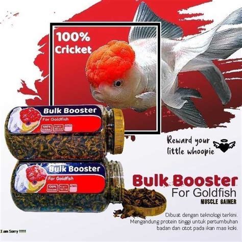 Jual Pakan Ikan Makanan Ikan Mas Koki Bulk Booster For Goldfish