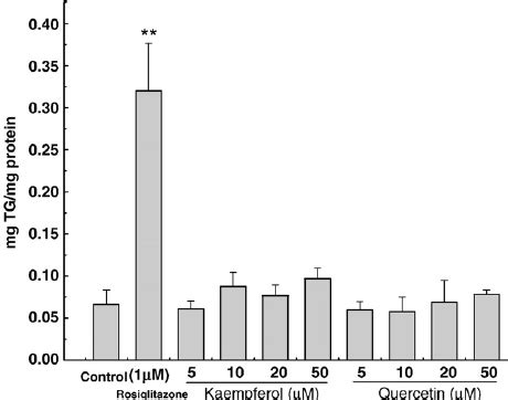 Kaempferol And Quercetin Block Rosiglitazone Induced T L Cell