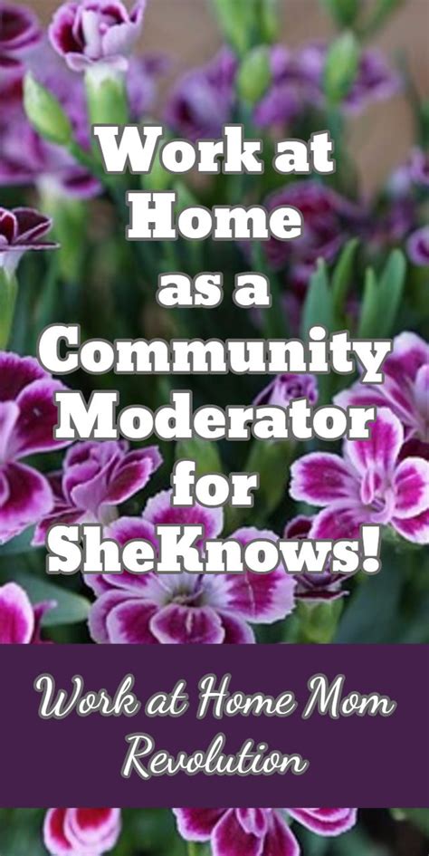 Sheknows Seeking Work At Home Community Manager Work At Home Mom Revolution Work From Home